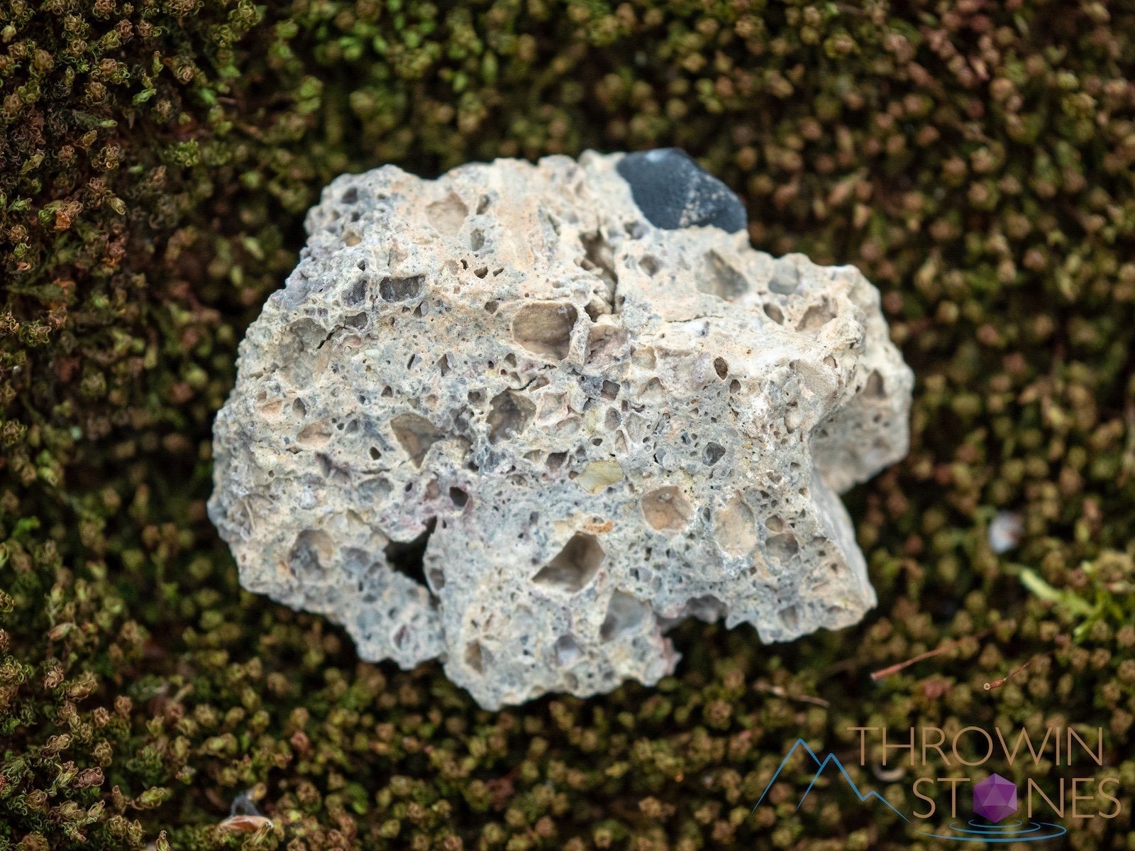 Natural MORION QUARTZ Raw Crystal - Healing Stone for Home Decor, Housewarming Gift & Spiritual Healing | Perfect for Meditation, Feng Shui & Positive Energy