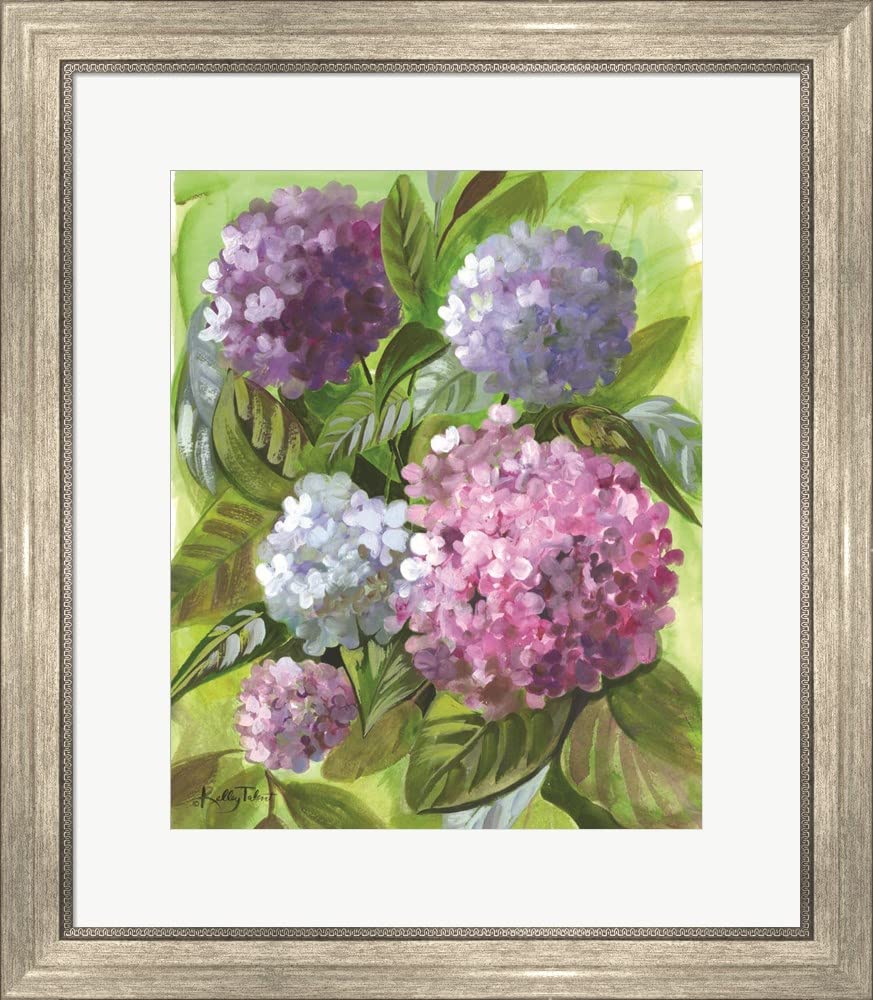 Kelley Talent Hydrangea Blooms Framed Art Print - Silver Scoop Frame 21x24 Inches - Perfect for Living Room, Bedroom & Office Wall Decor