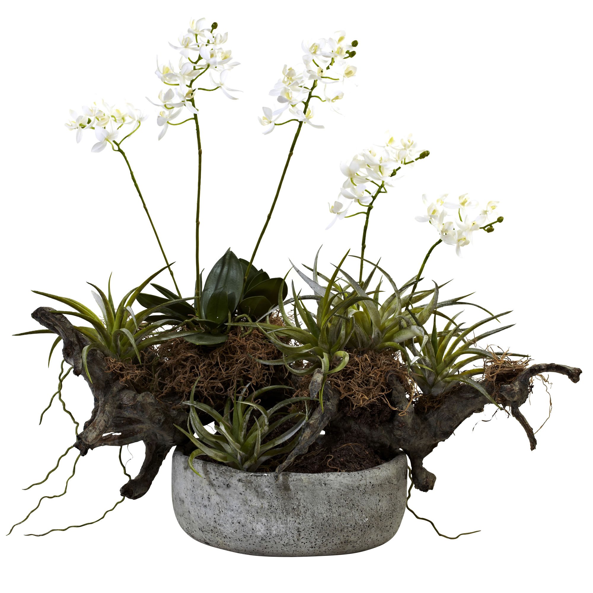 Nearly Natural Orchid & Succulent Garden Set with Driftwood & Decorative Vase - Artificial Plants for Home Decor, Office Desk, Living Room Centerpiece