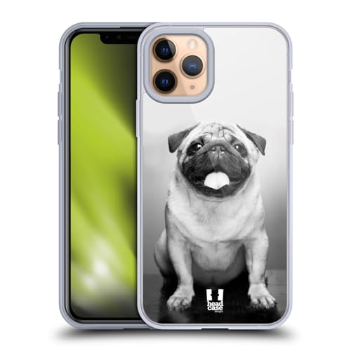Cute Male Pug