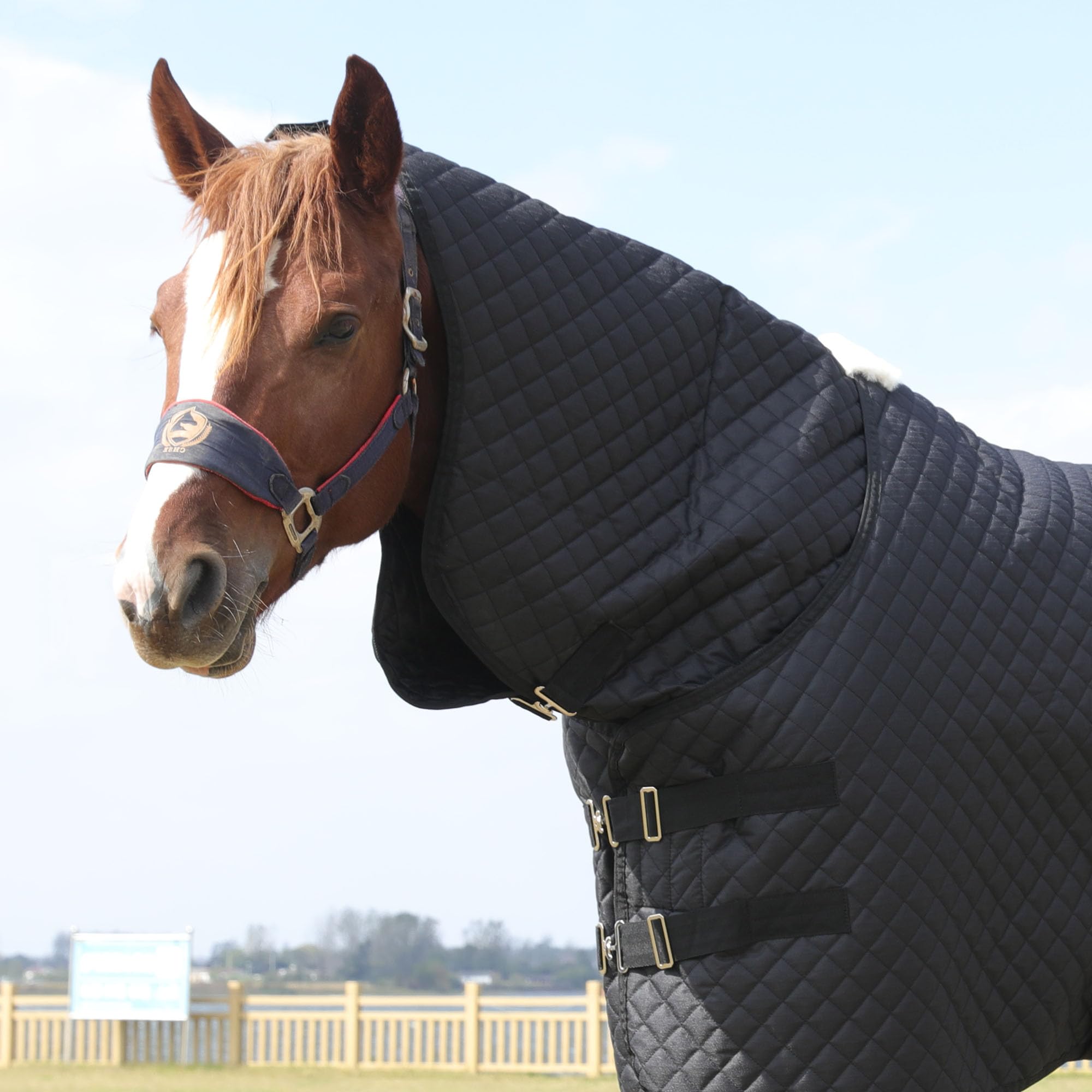 HOMBYS 600D Waterproof Winter Horse Blanket Combo - 75 Inch Heavy Duty Turnout Blanket for Real Horses, High Density Quilted Black Horse Sheet - Ideal for Cold Weather Riding, Stable Use & Outdoor Protection