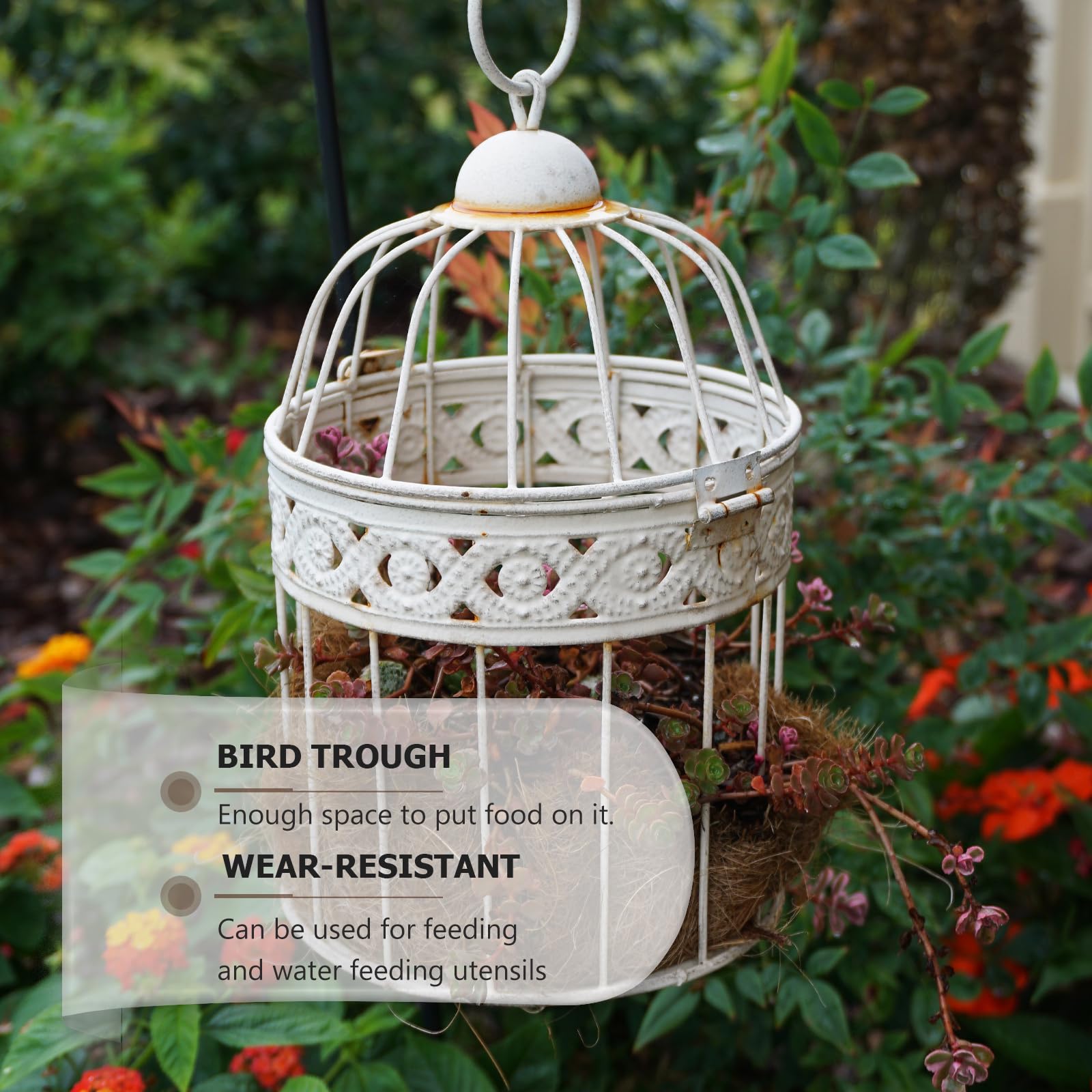 Balacoo 4-Pack Plastic Bird Feeder for Cage - Parrot Food & Water Bowl for Cockatiels, Budgies, Canaries - Durable Pet Bird Feeding Dish for Daily Use in Aviaries & Homes