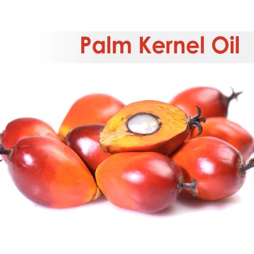 Organic Plum Kernel Oil (Prunus Domestica) - 100% Pure, Undiluted Carrier Oil for Skin & Hair Care - Cold Pressed, Therapeutic Grade - 67.6 fl oz (2000ml) - Perfect for Aromatherapy, Massage & DIY Beauty Products