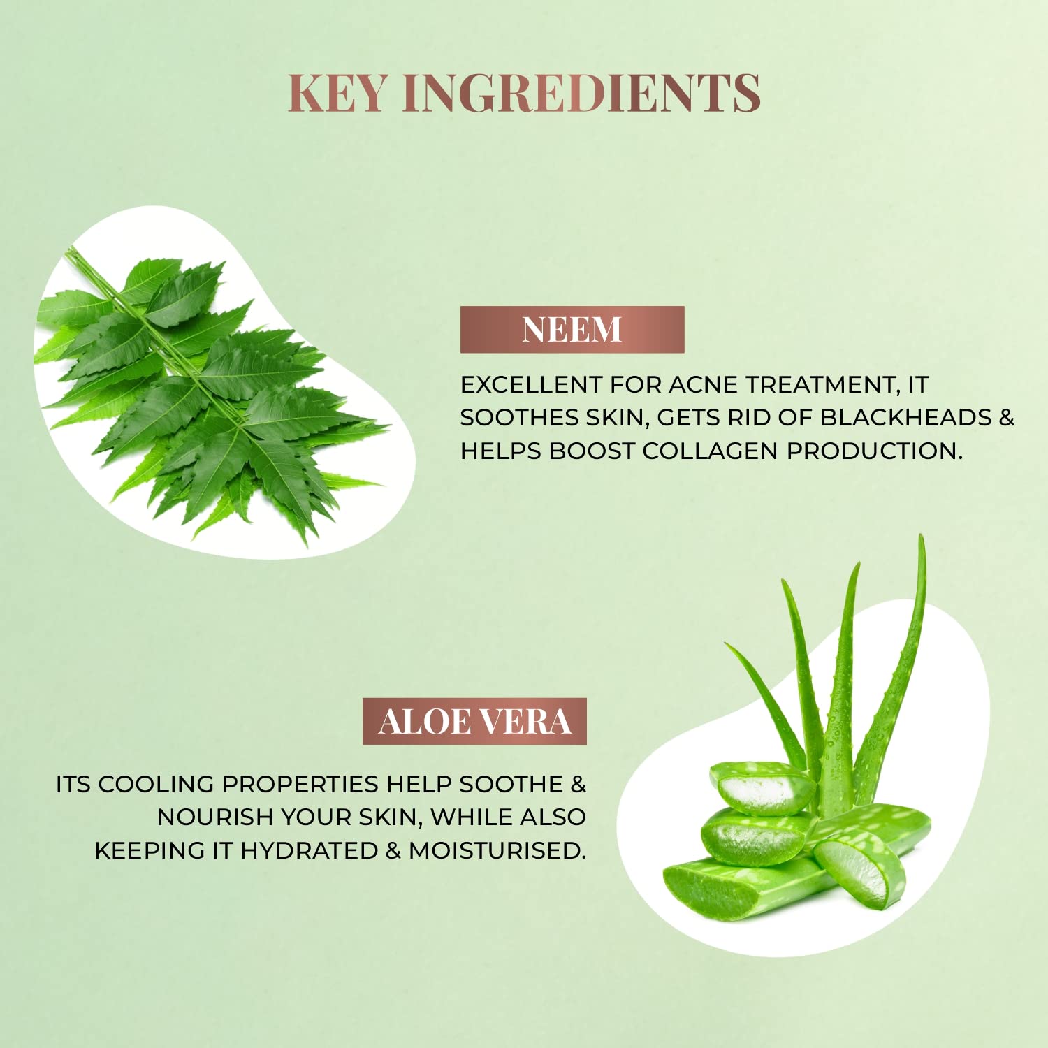 Just Herbs Neem & Aloe Vera Foaming Face Wash with Salicylic Acid - 100ml for Men & Women | Acne Treatment, Oil Control & Deep Cleansing | Perfect for Daily Skincare Routine