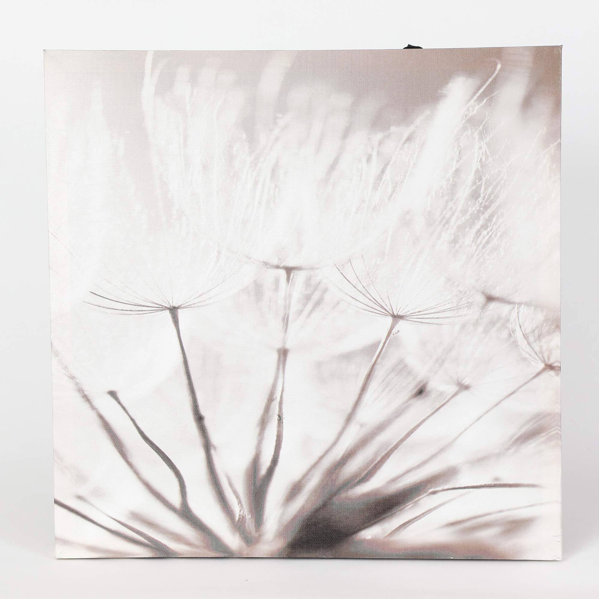 LuxenHome 3-Piece Dandelion Canvas Wall Art - Lighted Botanical Decor for Living Room & Bedroom