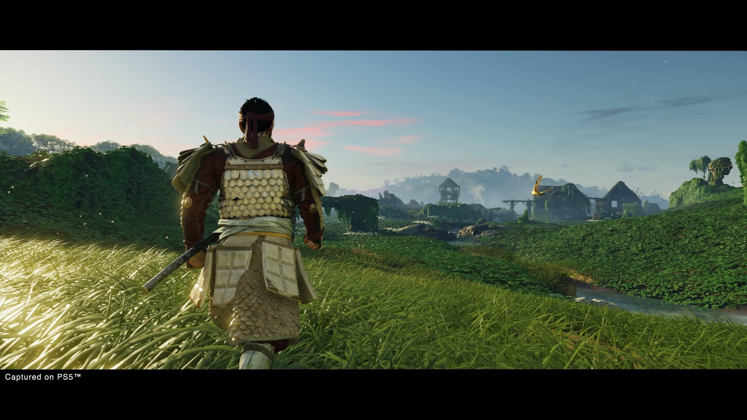 Ghost of Tsushima Director's Cut - PlayStation 5 Game | Action-Adventure Samurai Game | Perfect for PS5 Gamers & Japanese Culture Enthusiasts | Immersive Open-World Experience for Solo Players