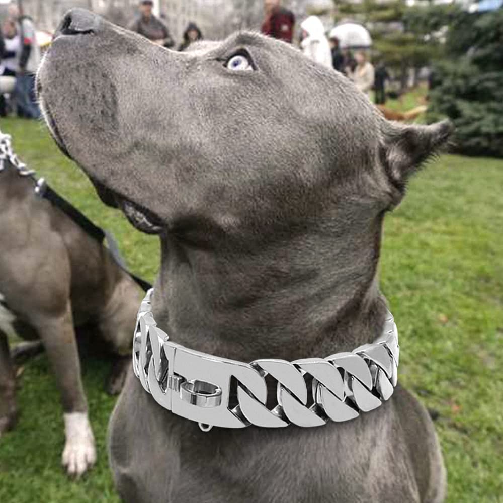 Premium Stainless Steel Dog Collar - Heavy Duty Martingale Chain Collar for Medium & Large Breeds (Doberman, Bully Dogs) - 60cm Silver - Show & Safety Collar for Training, Walking & Outdoor Activities