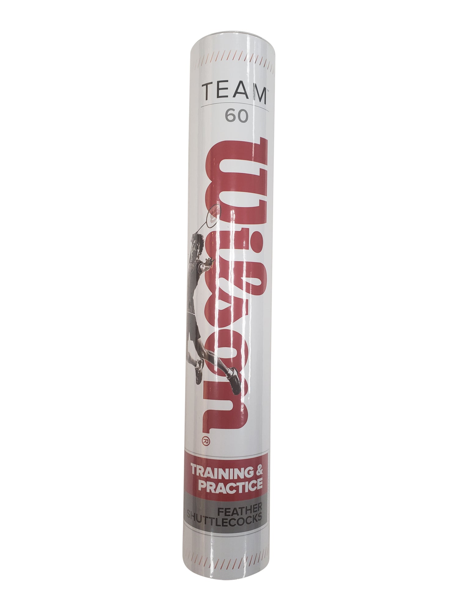 Wilson Team 60 Badminton Shuttlecocks - Premium Feather Shuttlecocks for Training & Competition - Perfect for Indoor & Outdoor Badminton Games