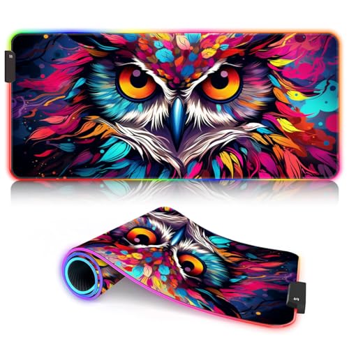 a28-olorful psychedelic of a Psychedelic Bird Owl