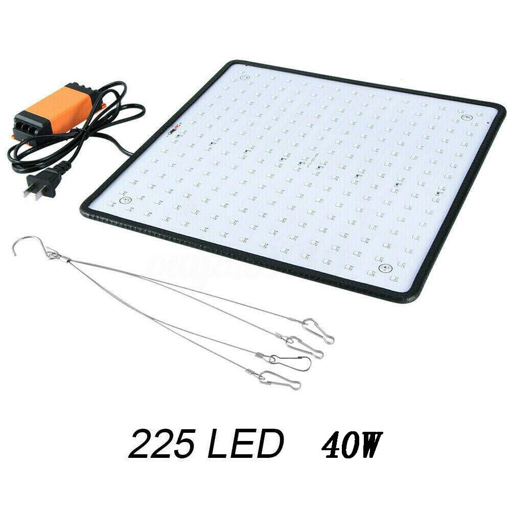 1000W LED Grow Light with 225 LEDs - Ultra Thin, Lightweight & Easy to Install for Indoor Plants | Perfect for Hydroponics, Greenhouses & Home Gardening
