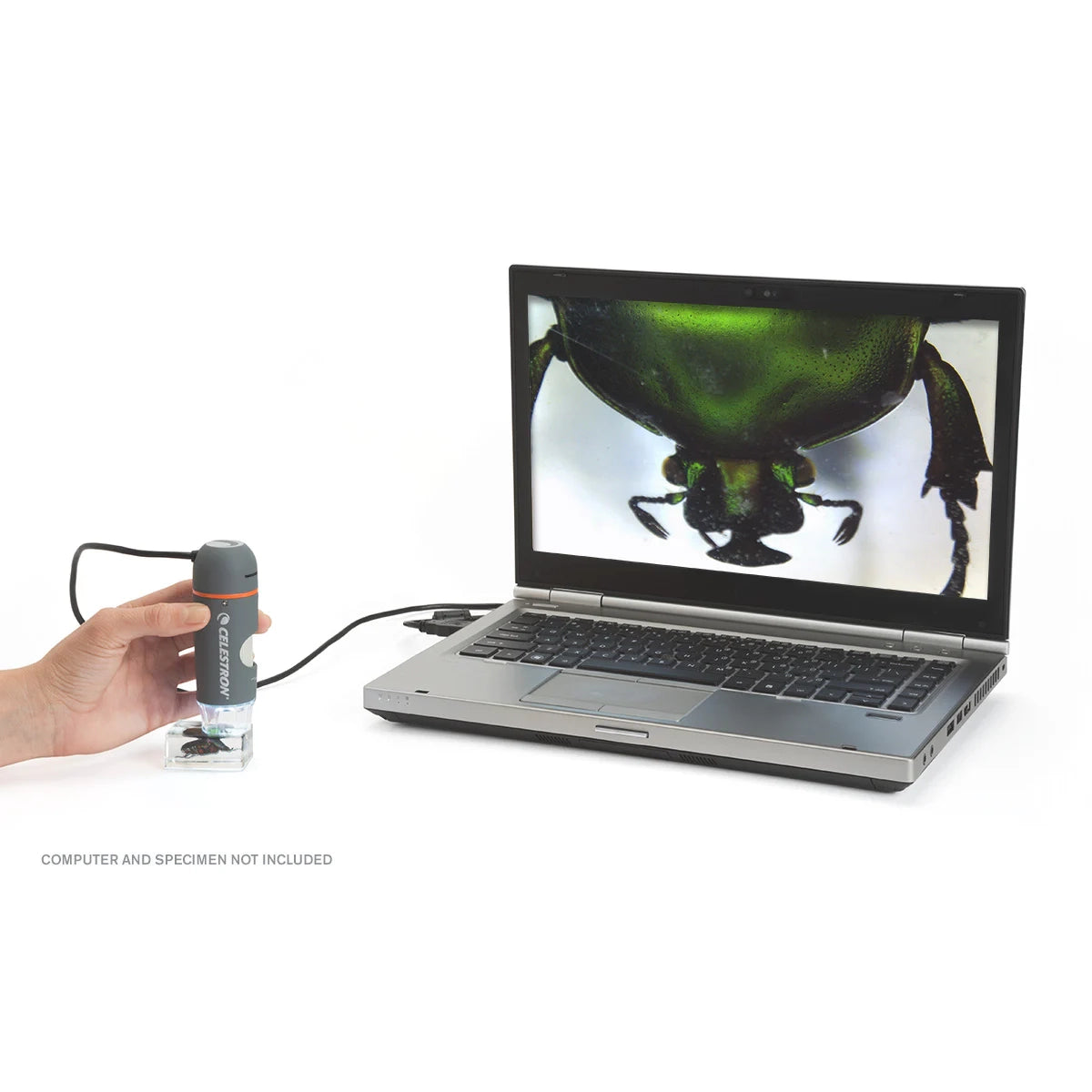 Celestron Handheld Digital Pro Microscope - 60x-100x Magnification, 2MP Camera for Science & Hobby Use - Perfect for Coin Collecting, Jewelry Inspection & STEM Education