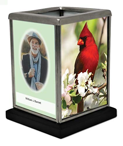 Cardinal Theme
