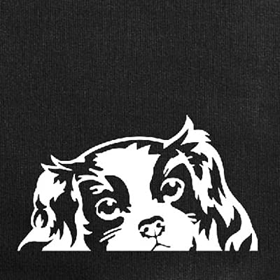 Cavalier King Charles Spaniels Dog