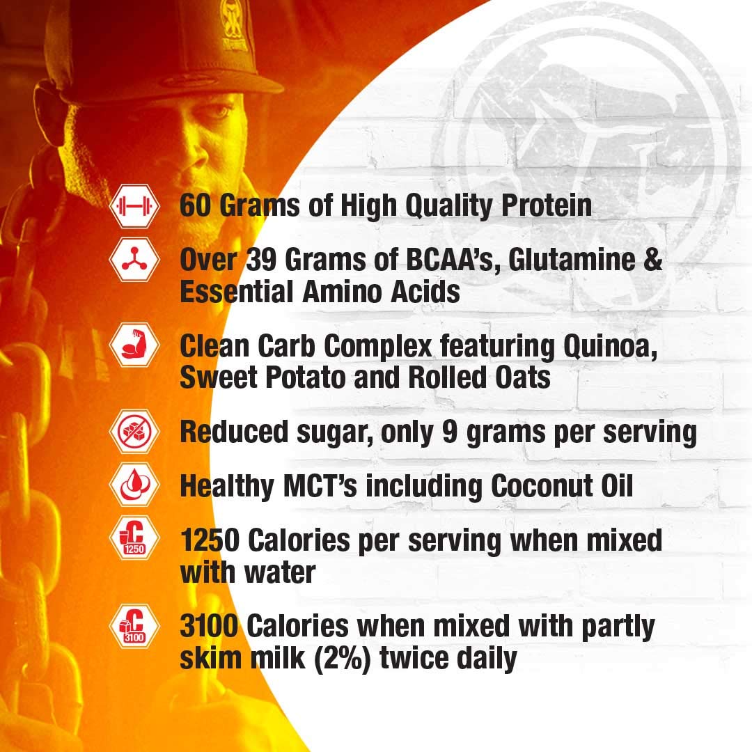 Mammoth Mass Weight Gainer Protein Powder - 15lb High Calorie Muscle Building Shake with Whey Isolate & Casein, Low Sugar Meal Replacement for Weight Training & Bodybuilding - Banana Flavor | Perfect for Post-Workout Recovery & Bulking Season Nutrition