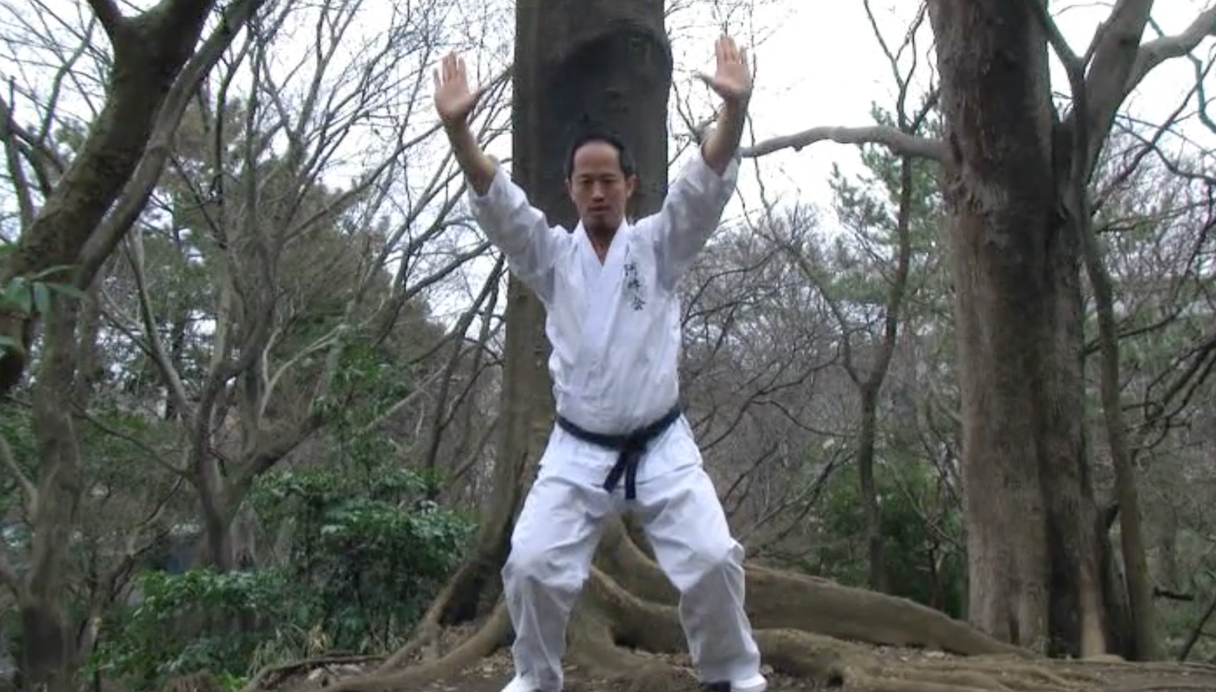 Preowned Aunkai 3 DVD Set by Minoru Akuzawa - Authentic Japanese Martial Arts Training Videos for Self-Defense & Fitness Practice at Home