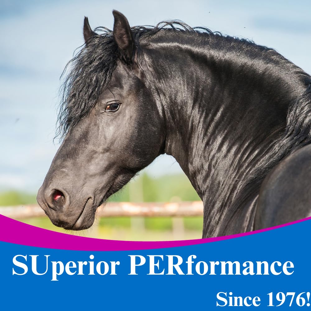 Premium Horse Muscle Builder Supplement - Enhances Training & Performance for Athletic Horses - 12.5lb (6 Month Supply) - Ideal for Racehorses, Show Jumpers & Equestrian Competitions