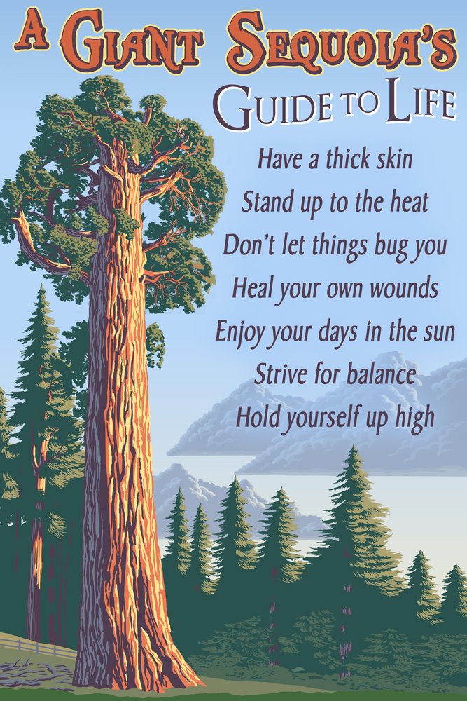 Lantern Press 16x24 Inch Giclee Art Print - Giant Sequoia Tree Nature Wall Decor for Living Room, Bedroom & Office | Premium Quality Fine Art Reproduction