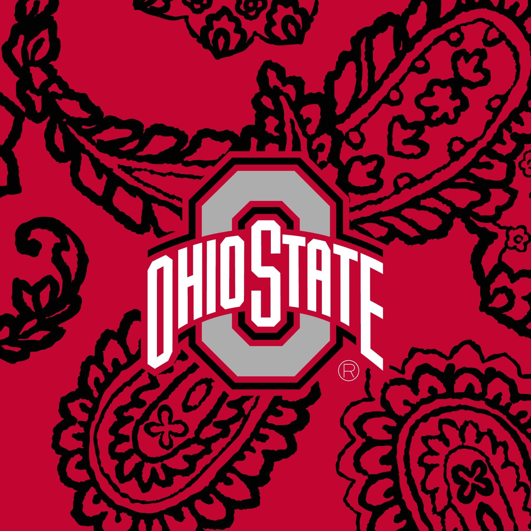 Soft & Cozy Collegiate Plush XL Throw Blanket - Extra Large 60