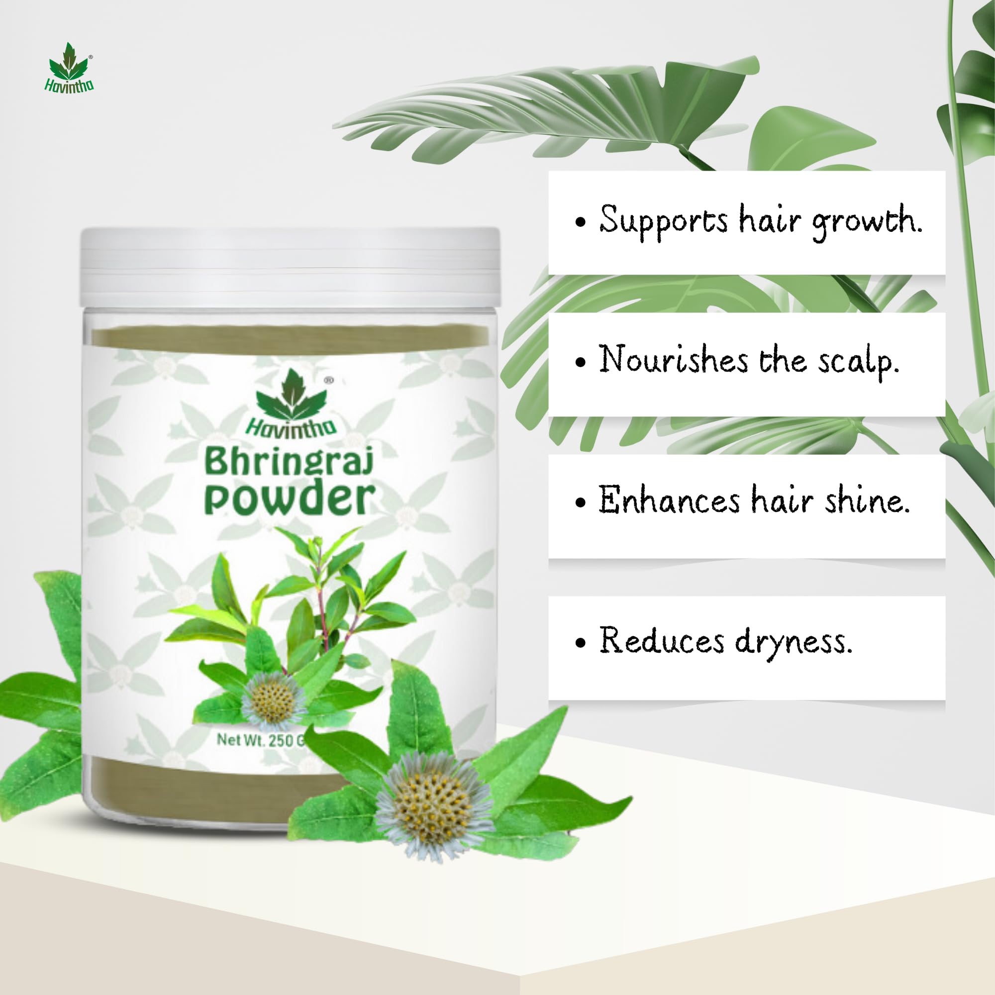 Havintha 100% Pure Bhringraj Powder for Hair Growth & Scalp Care - Natural Dandruff Treatment & Hair Mask for Women & Men (250g) | Promotes Healthy Hair, Reduces Hair Fall & Adds Shine | Perfect for DIY Hair Masks & Ayurvedic Hair Care Routines