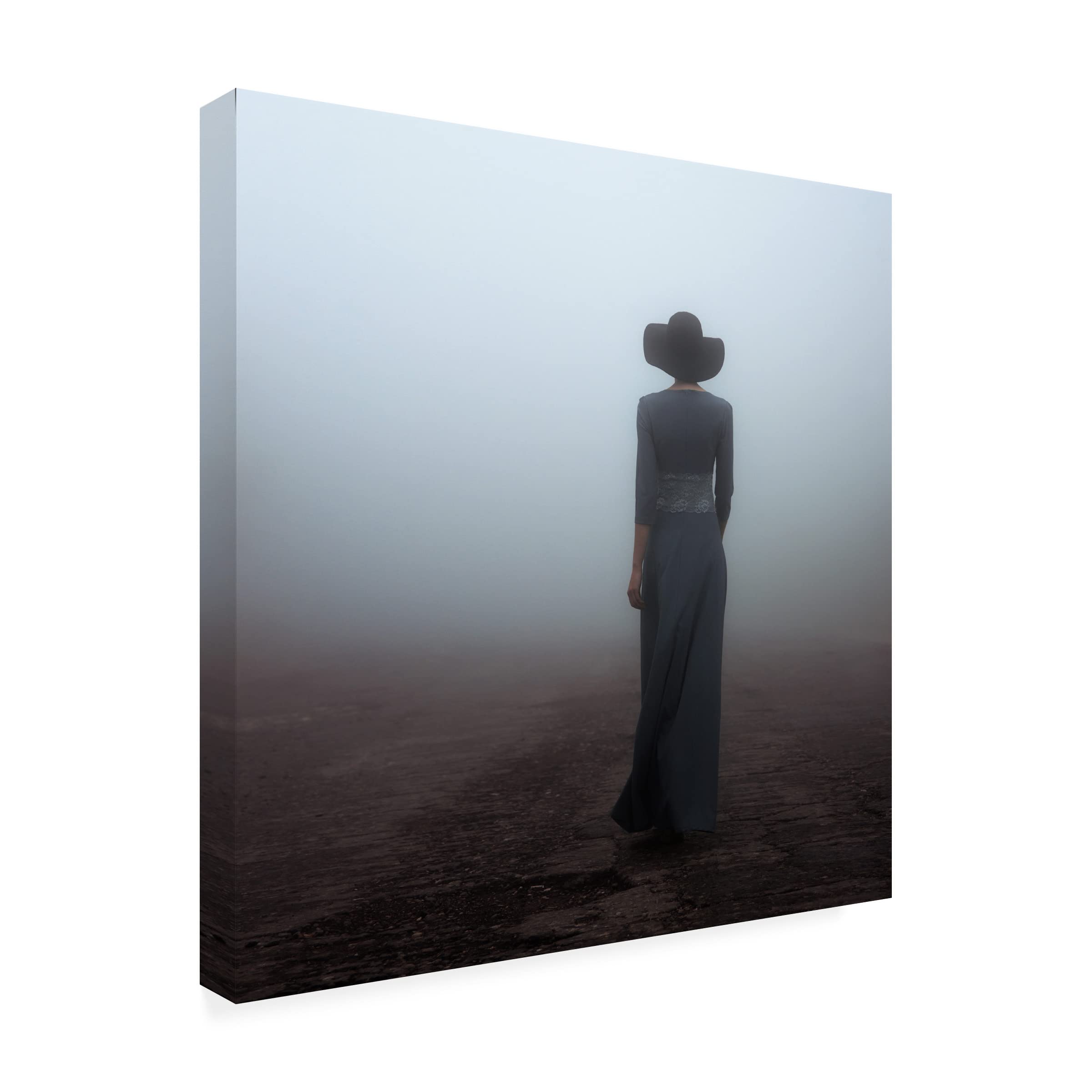 Trademark Fine Art 'Woman Of The Fog' Canvas Wall Art Print by Mikhail Potapov - Perfect for Living Room, Bedroom & Office Decor