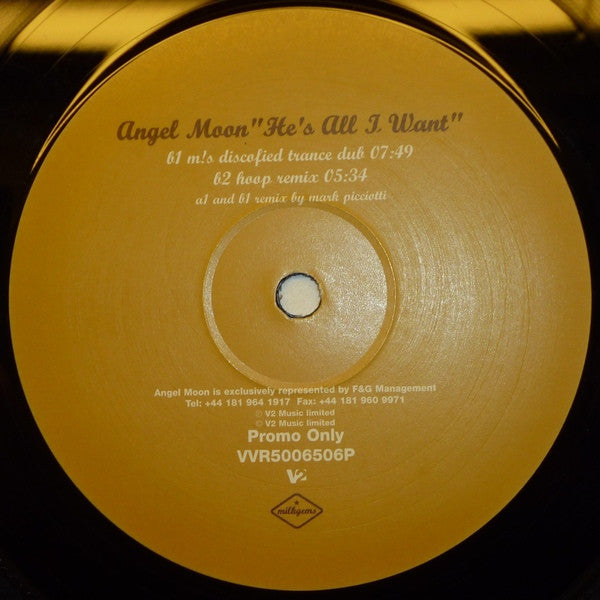 Angel Moon 