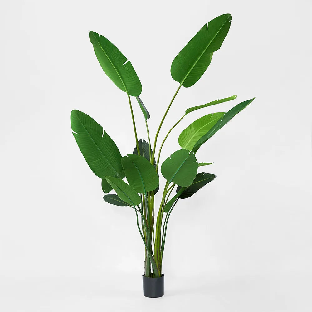 Florabelle 2.5m Artificial Bird of Paradise Plant - Realistic Tropical Faux Tree for Home Decor, Office, Living Room & Patio