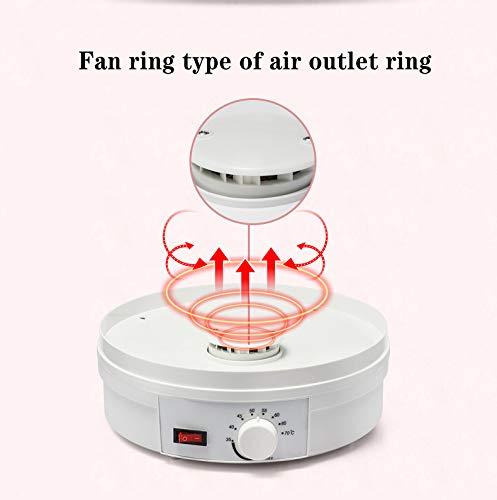 110V AnEssOil Food Dehydrator - Stainless Steel Electric Drying Machine for Fruits, Vegetables, Herbs & Meat | Healthy Snacks Maker for Home, Camping & Food Preservation