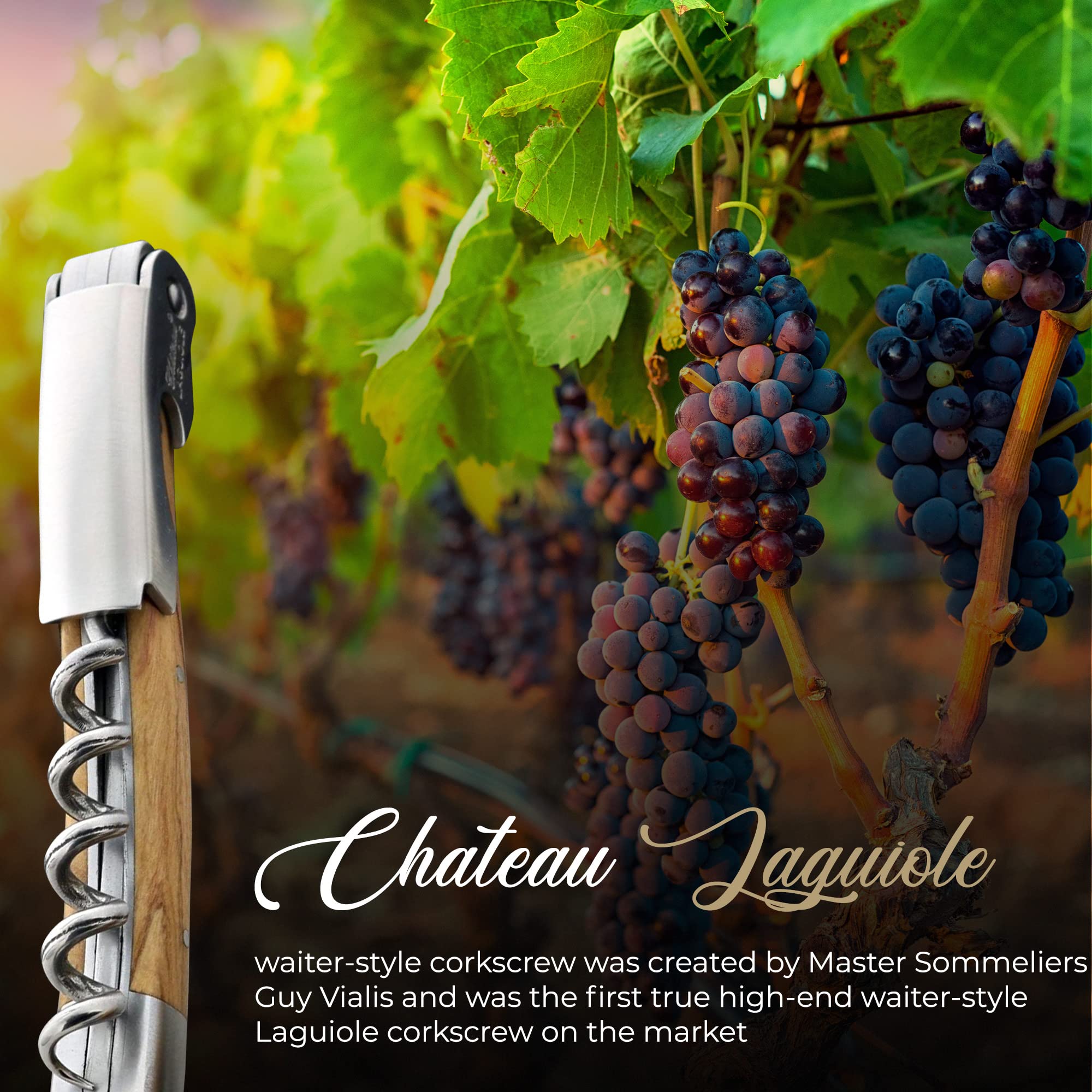 Chateau Laguiole Classic French Wine Opener - Premium Olive Wood Corkscrew with Leather Sheath & Gift Box - Perfect for Wine Lovers, Dinner Parties & Gifts