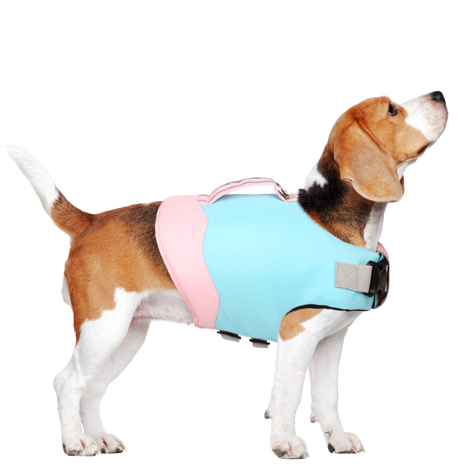 ASENKU Dog Life Jacket - Safety Swimming Vest for Small Medium Large Dogs with Rescue Handle | Waterproof Puppy Life Preserver for Boating, Pool & Beach Activities
