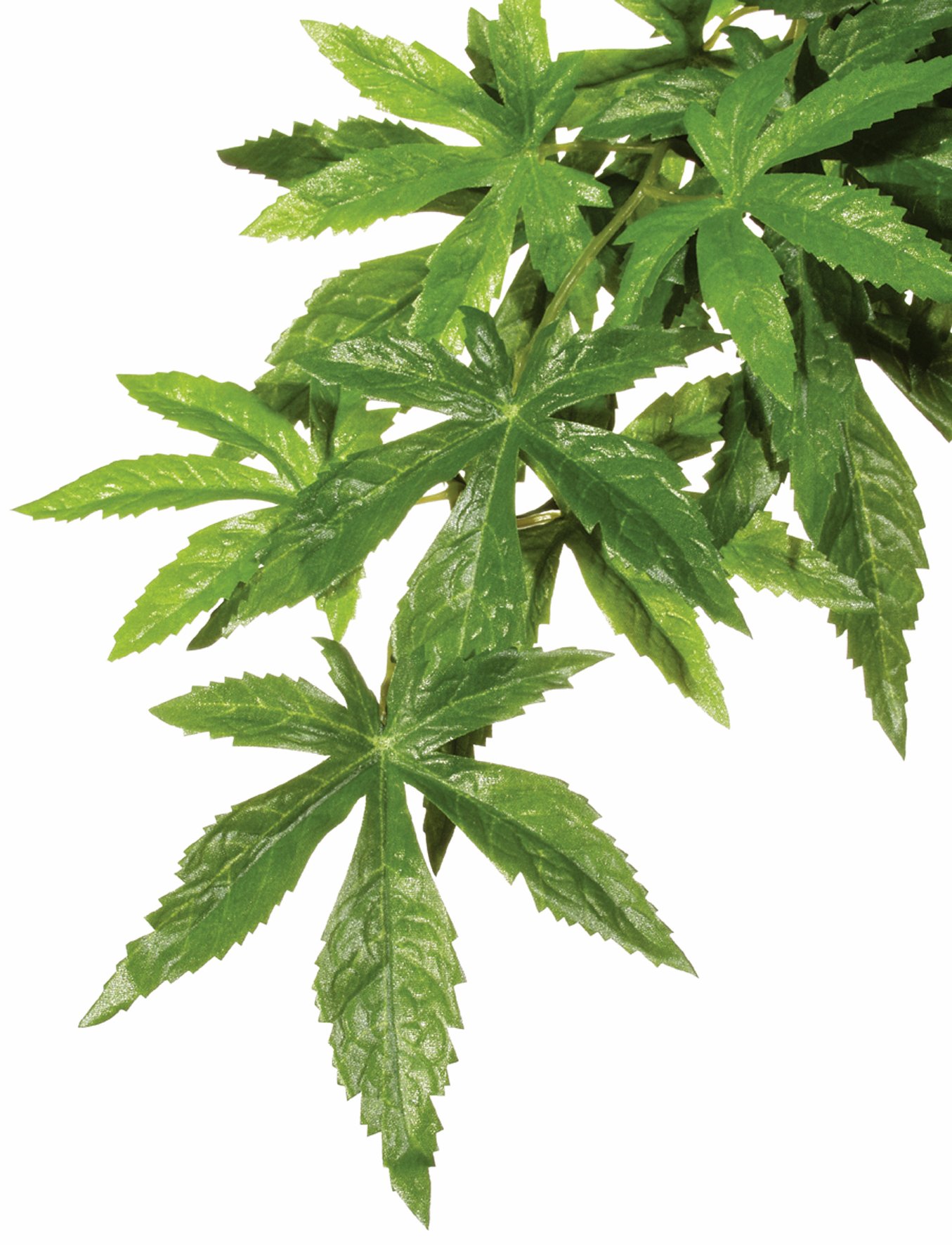 Exo Terra Silk Terrarium Plant - Large Artificial Abutilon for Reptile Habitat & Vivarium Decoration | Perfect for Bearded Dragons, Geckos & Tropical Terrariums