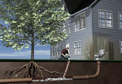 ROOTX - 4LB Foaming Root Killer for Sewer Lines & Septic Systems with Funnel Applicator | Prevents Clogs & Protects Pipes | Ideal for Homeowners & Commercial Use