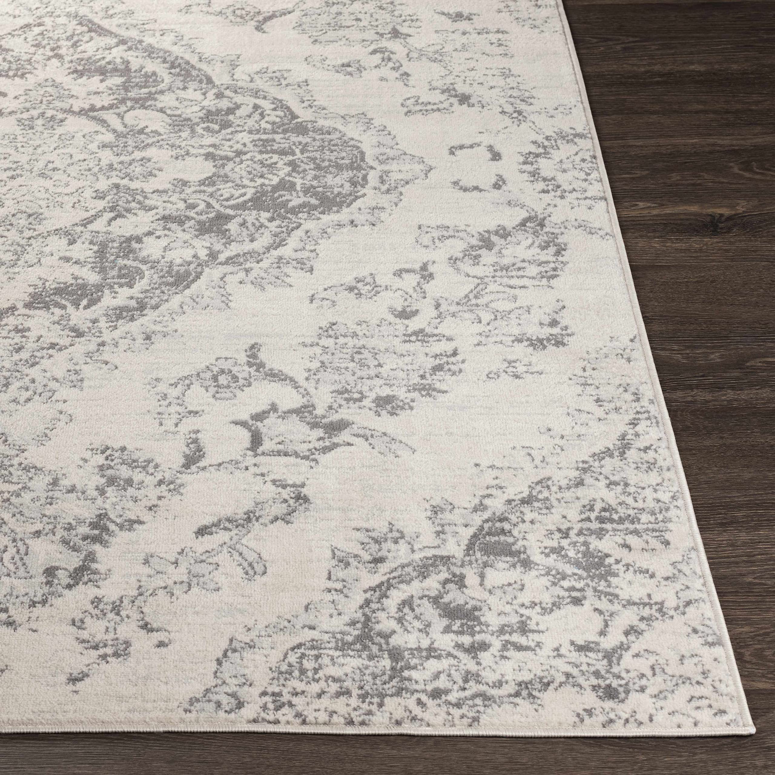 Hauteloom Kotara Traditional Gray and Beige Area Rug 9' x 12'3