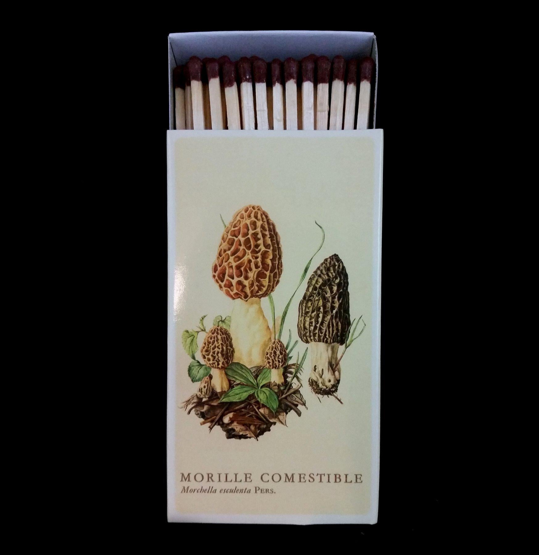 Premium Mushroom Matches - Waterproof & Windproof Survival Matches for Camping, Hiking, and Outdoor Adventures