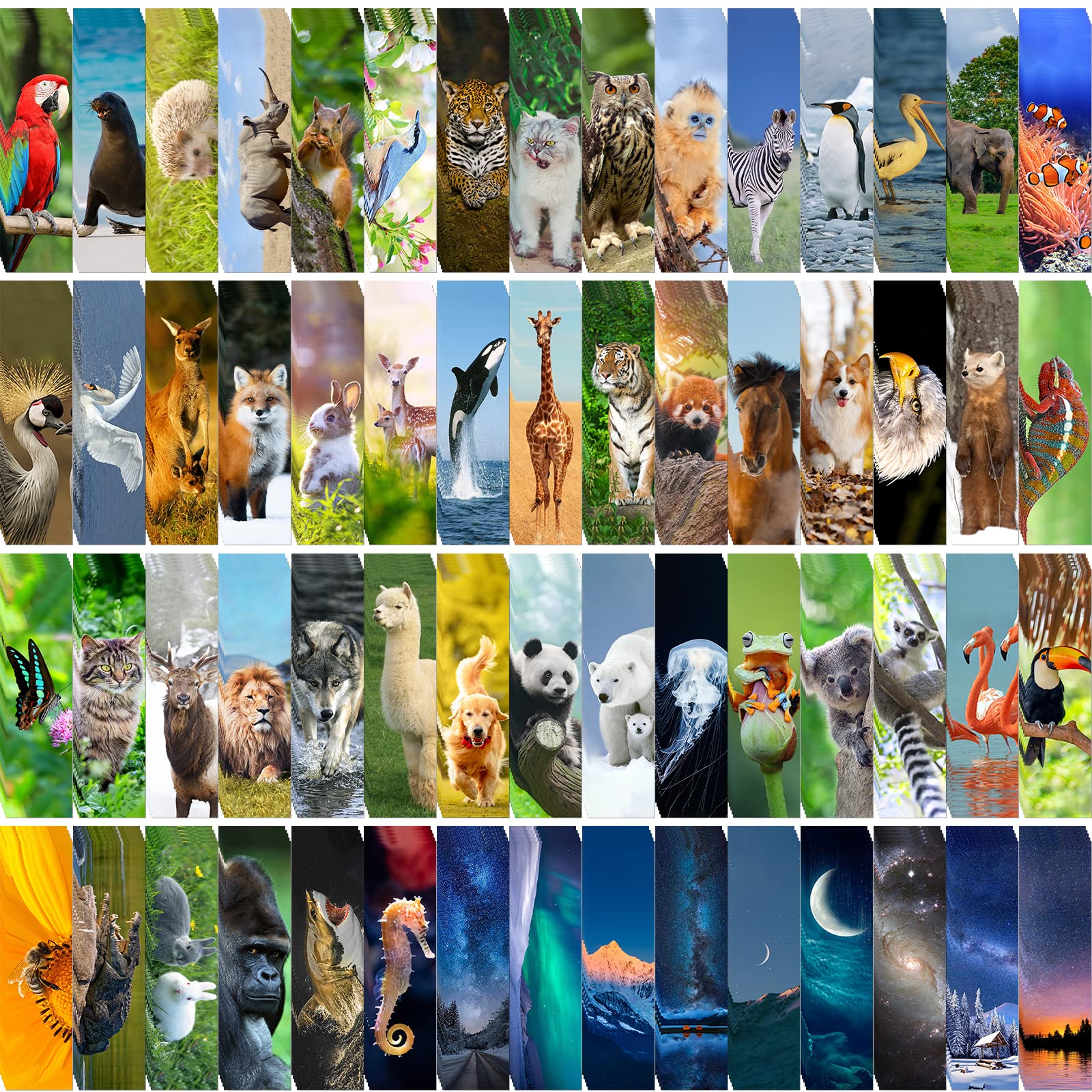 300PCS Bulk Animal Bookmarks for Kids - 60 Unique Wildlife Designs, Double-Sided Cute Book Markers for Students, Classroom Rewards & Gifts | Perfect for Reading Incentives, School Prizes & Book Lovers