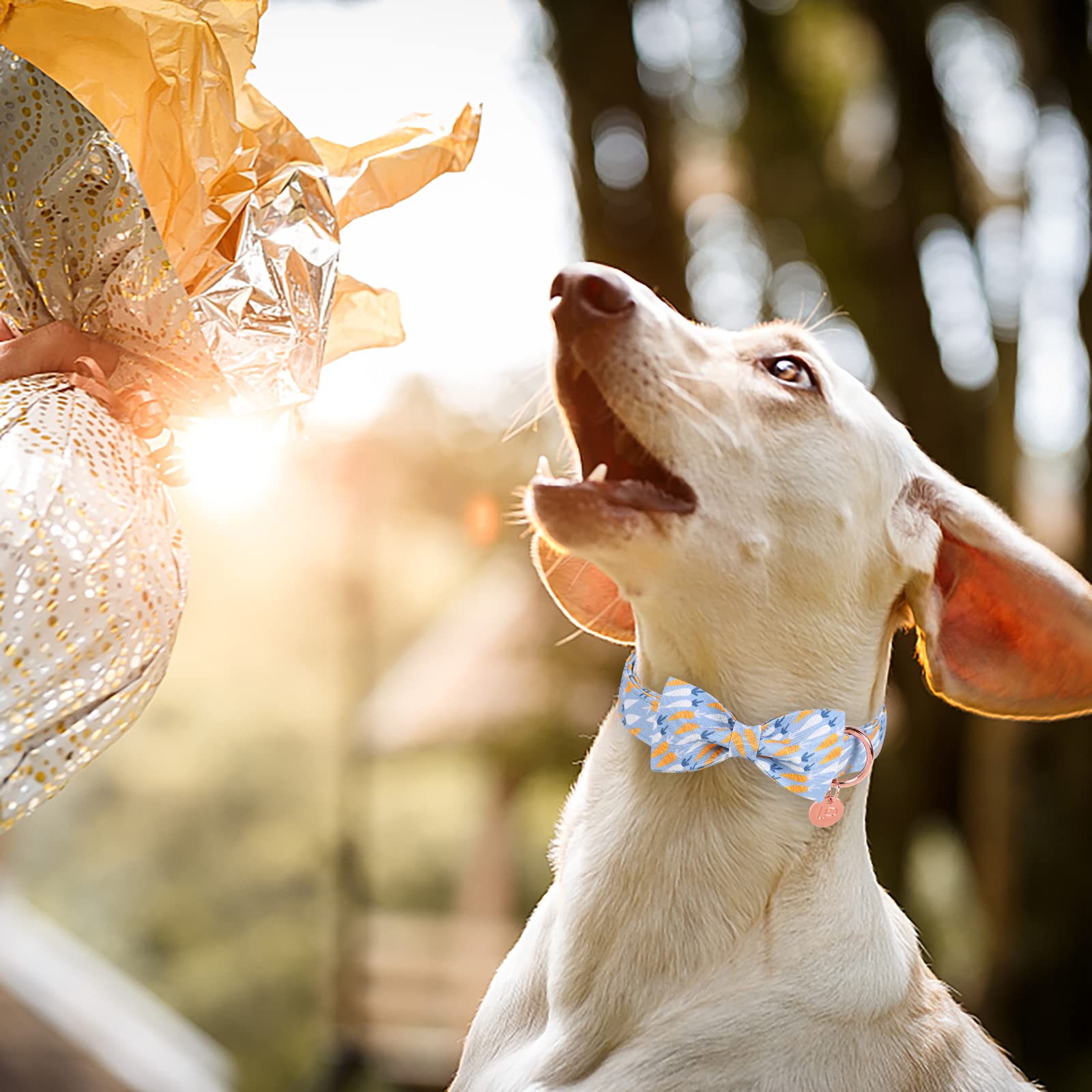 Easter Dog Collar with Bow Tie - Adjustable Cotton Pet Collar for Large Dogs, Cute Carrot Design with Metal Buckle - Perfect Easter Gift for Boy & Girl Dogs (Blue, Size L) - Great for Easter Photos, Parties & Holiday Outfits