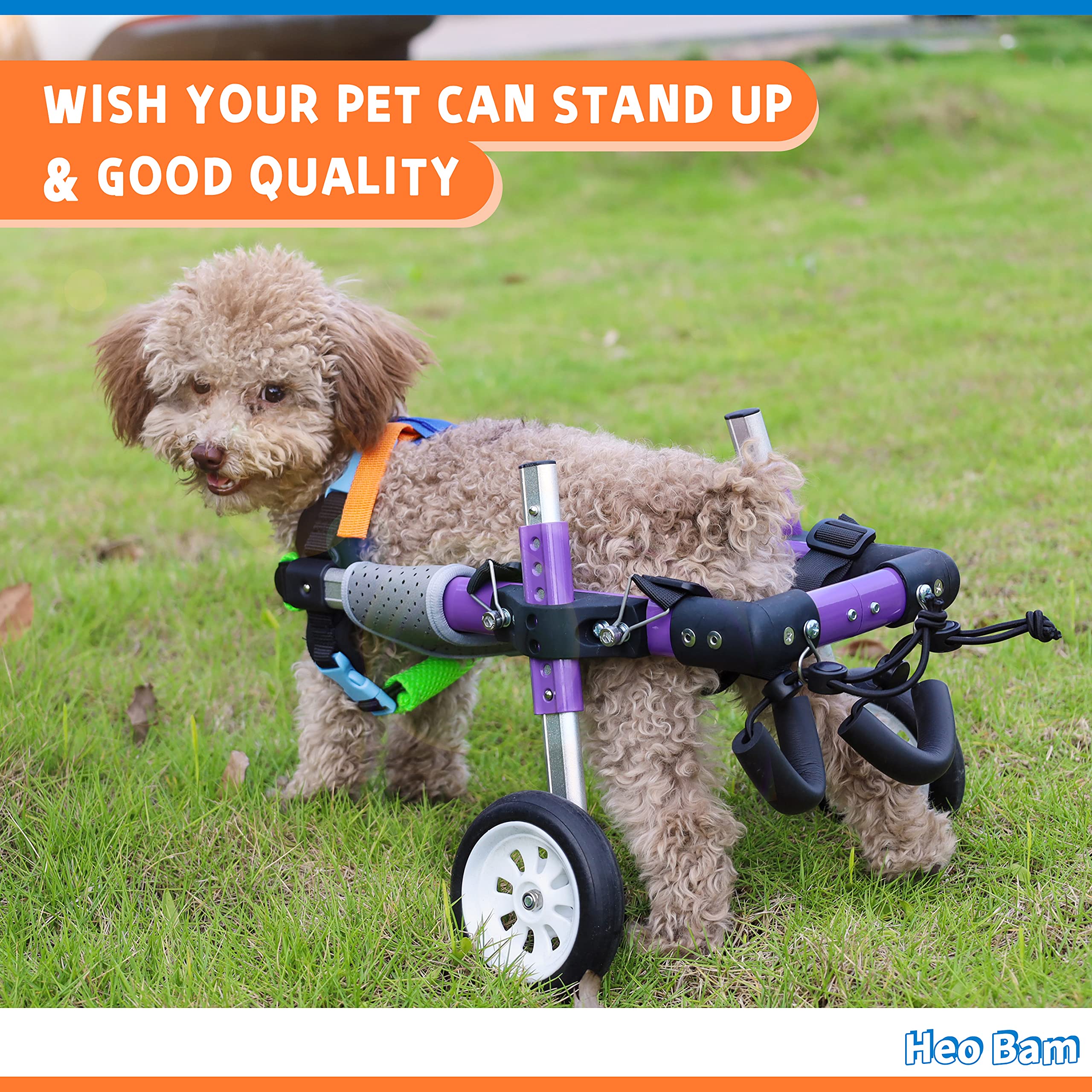 Adjustable Dog Wheelchair for Back Legs - Pet Mobility Aid for Small to Medium Dogs with Disabled Hind Legs (XS-B) - Perfect for Rehabilitation, Injury Recovery & Daily Mobility Support