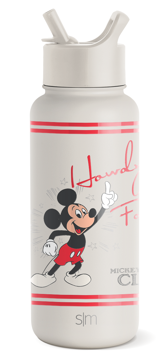 Disney Summit Insulated Water Bottle with Straw Lid - Leakproof Stainless Steel Thermos for Kids & Adults - Perfect for School, Gym, Hiking & Outdoor Activities