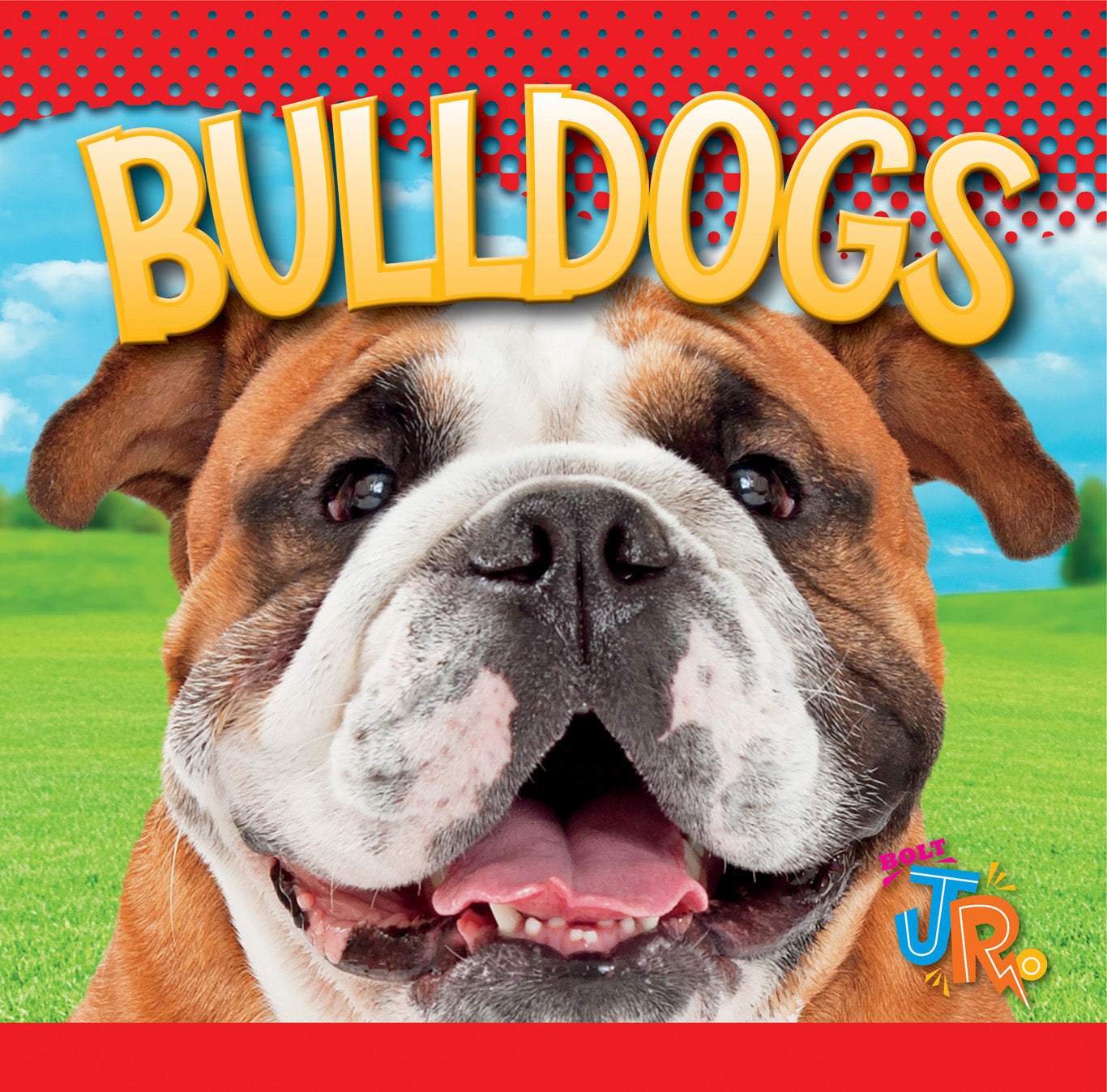 Bulldogs Book 9781623104672 - Learn About Bulldog Breeds, Care & Training - Perfect for Dog Lovers & Pet Owners