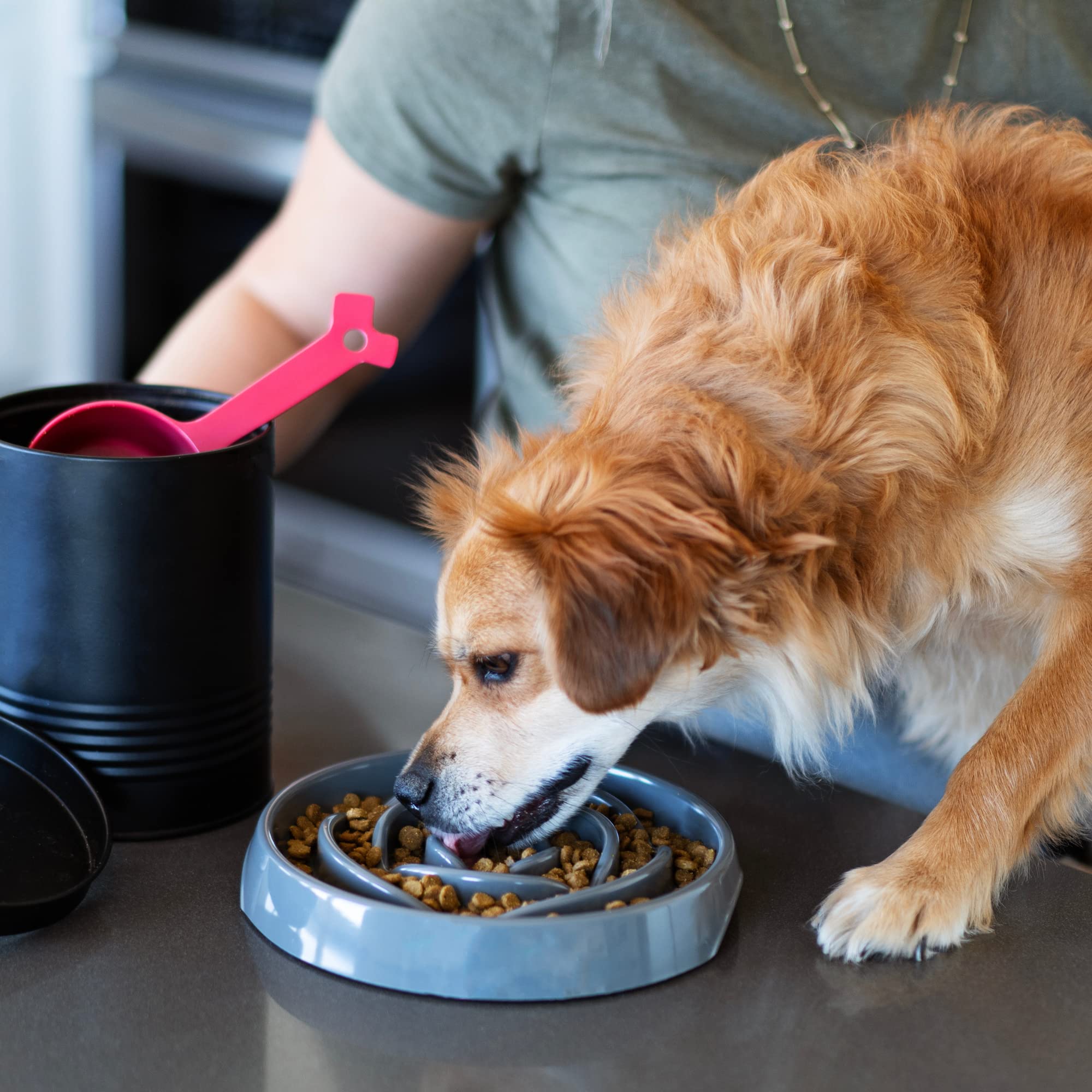 Messy Mutts Interactive Slow Feeder Dog Bowl - Puzzle Feeder for Dogs & Cats to Prevent Bloating & Aid Digestion - 8” x 1.3” Enrichment Food Dish Holds 1.75 Cups - Cool Grey - Perfect for Fast Eaters & Pets with Anxiety During Mealtime
