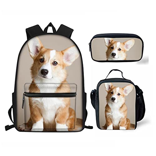 Corgi
