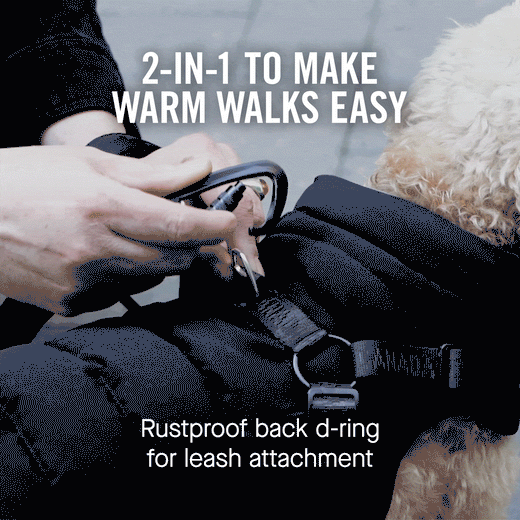 Classic Harness Puffer Jacket in Black - Last One Left! Perfect for Winter Outdoor Adventures and Urban Style