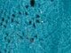 Deep Turquoise