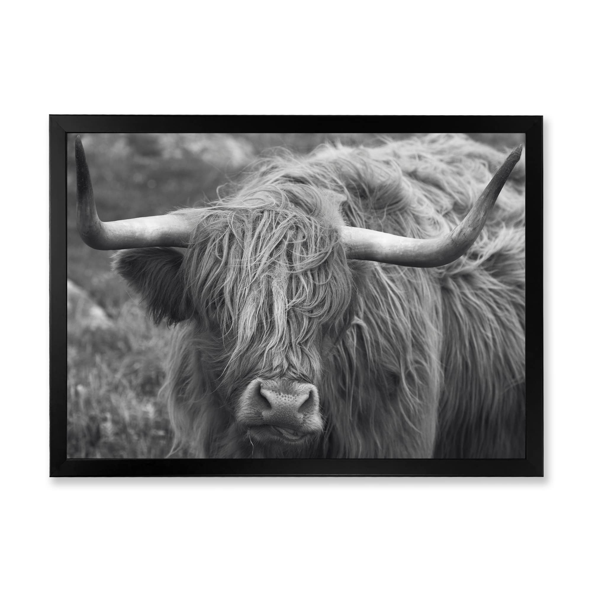 Scottish Highland Cow on Moorland - Farmhouse Framed Wall Art Decor for Living Room, Bedroom & Office