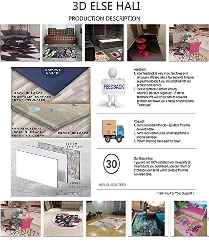 Scandinavian 3D Print Non-Slip Microfiber Kids Rug - Gray Floor Brown Lions Zoo Animals Design for Children's Room Decor & Play Area Mat | Perfect for Nursery, Playroom & Bedroom