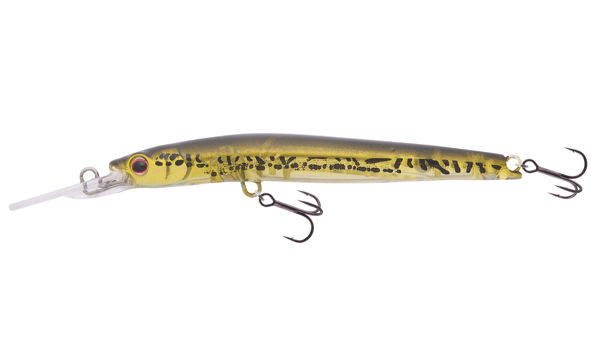 Gold Orange Shad