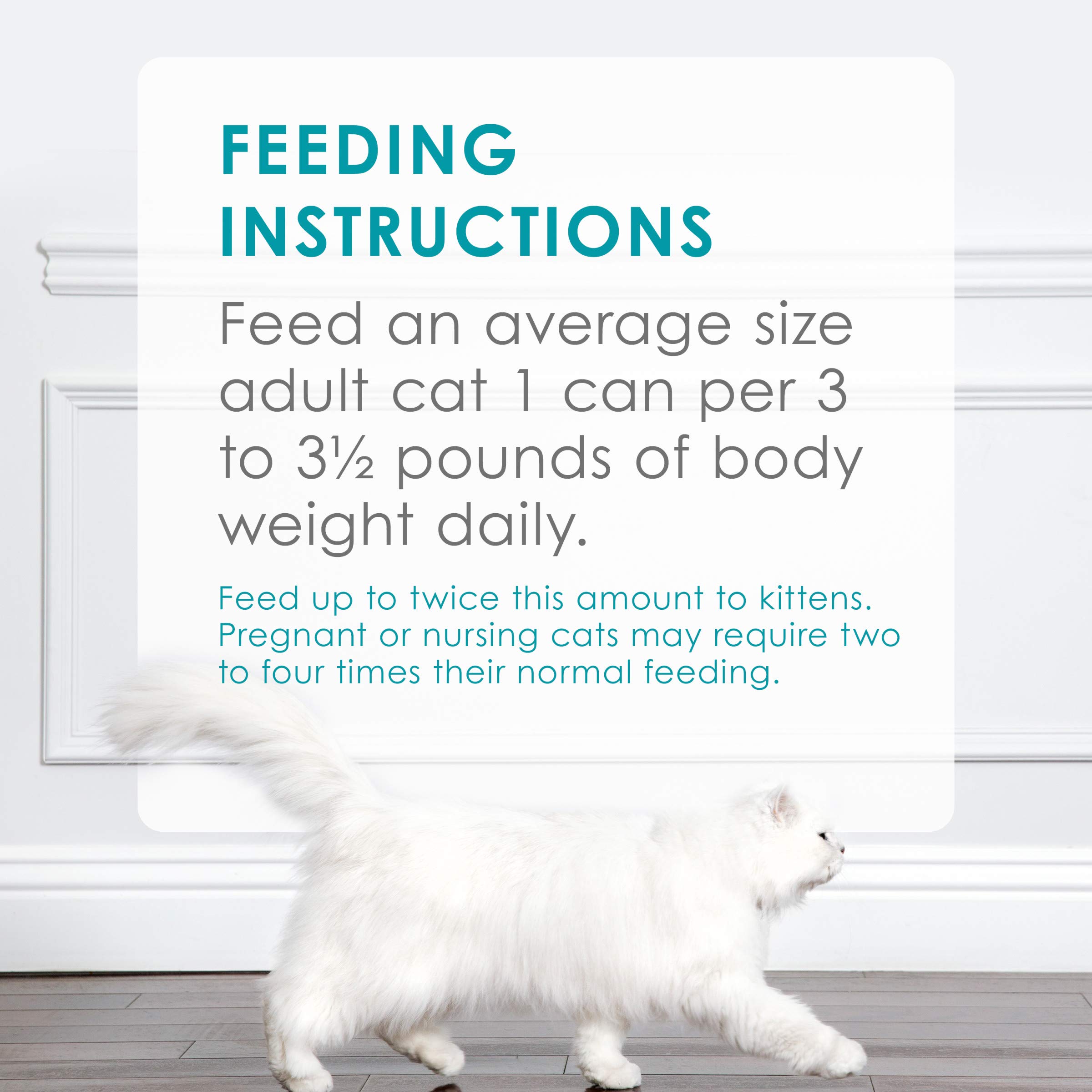 Purina Fancy Feast Grain Free Wet Cat Food - Seafood Pate Variety Pack (24 Cans, 3oz Each) | High Protein, Natural Ingredients for Adult Cats | Perfect for Mealtime, Travel & Feeding Picky Eaters