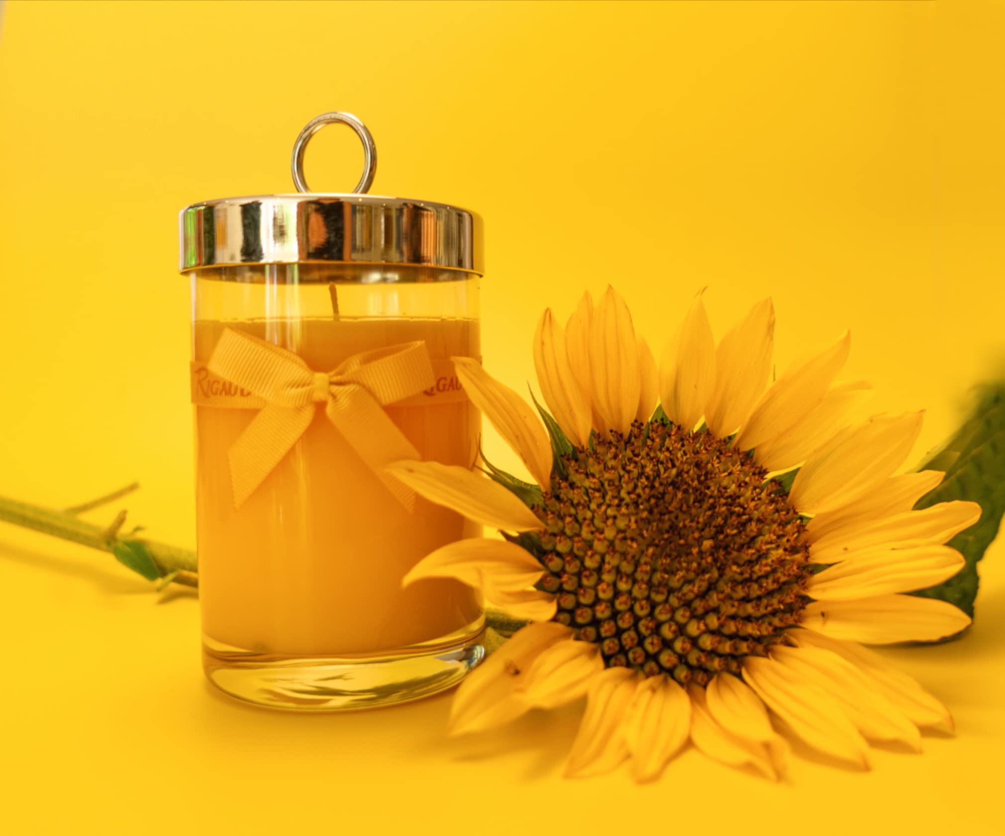 Rigaud Tournesol Large Scented Candle - 230g French-Made Soy Wax Candle with Sunflower Fragrance | Perfect for Home Decor, Relaxation & Romantic Ambiance