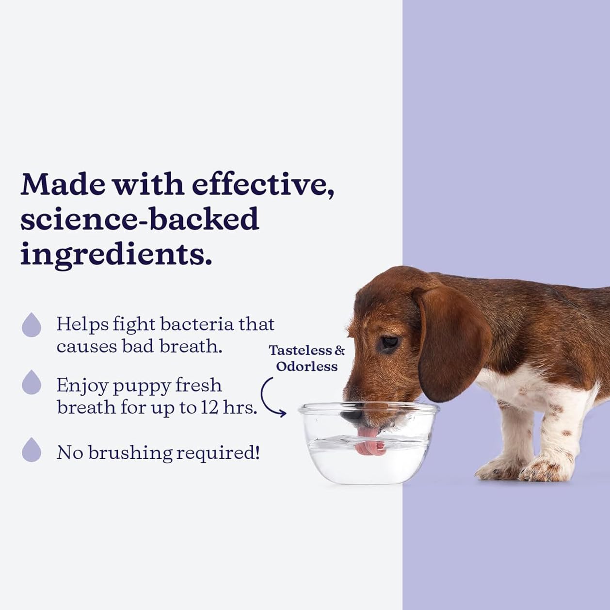 ROSEY'S PUPPY FRESH BREATH - Dog Dental Water Additive for Fresh Breath & Teeth Cleaning - Natural Dog Breath Freshener with Plaque Control & Gum Health Support - 8 Oz Bottle - Perfect for Daily Oral Care & Bad Breath Prevention in Dogs