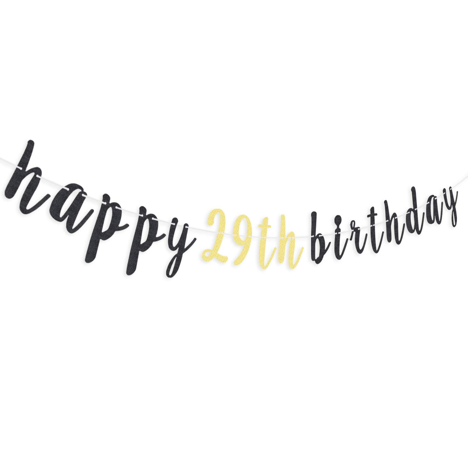 29th Birthday Party Decorations - Cheers to 29 Glitter Garland Banner & Backdrop Sign for Women, Men | Perfect for Birthday Photo Booth, Home Decor, Milestone Celebration