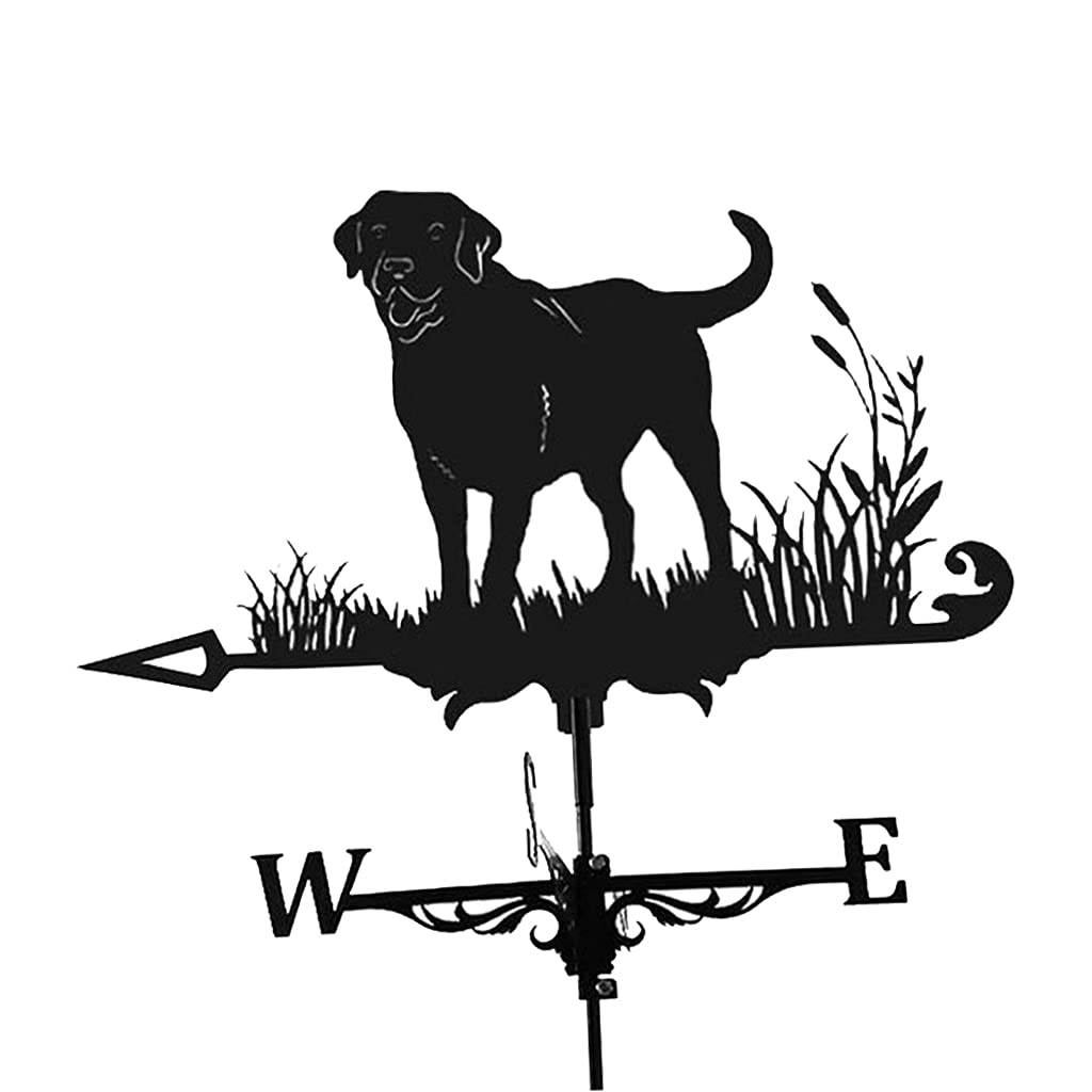 Vintage Iron Weather Vane - Heavy Duty Farmhouse Garden Stake with Dog Design | Accurate Wind Direction Measuring Tool for Outdoor Decoration, Yard & Farm Use